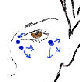 Gesichts Make up