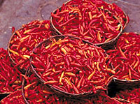 Chili
