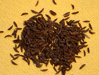 asiatische Heilkr&auml;uter